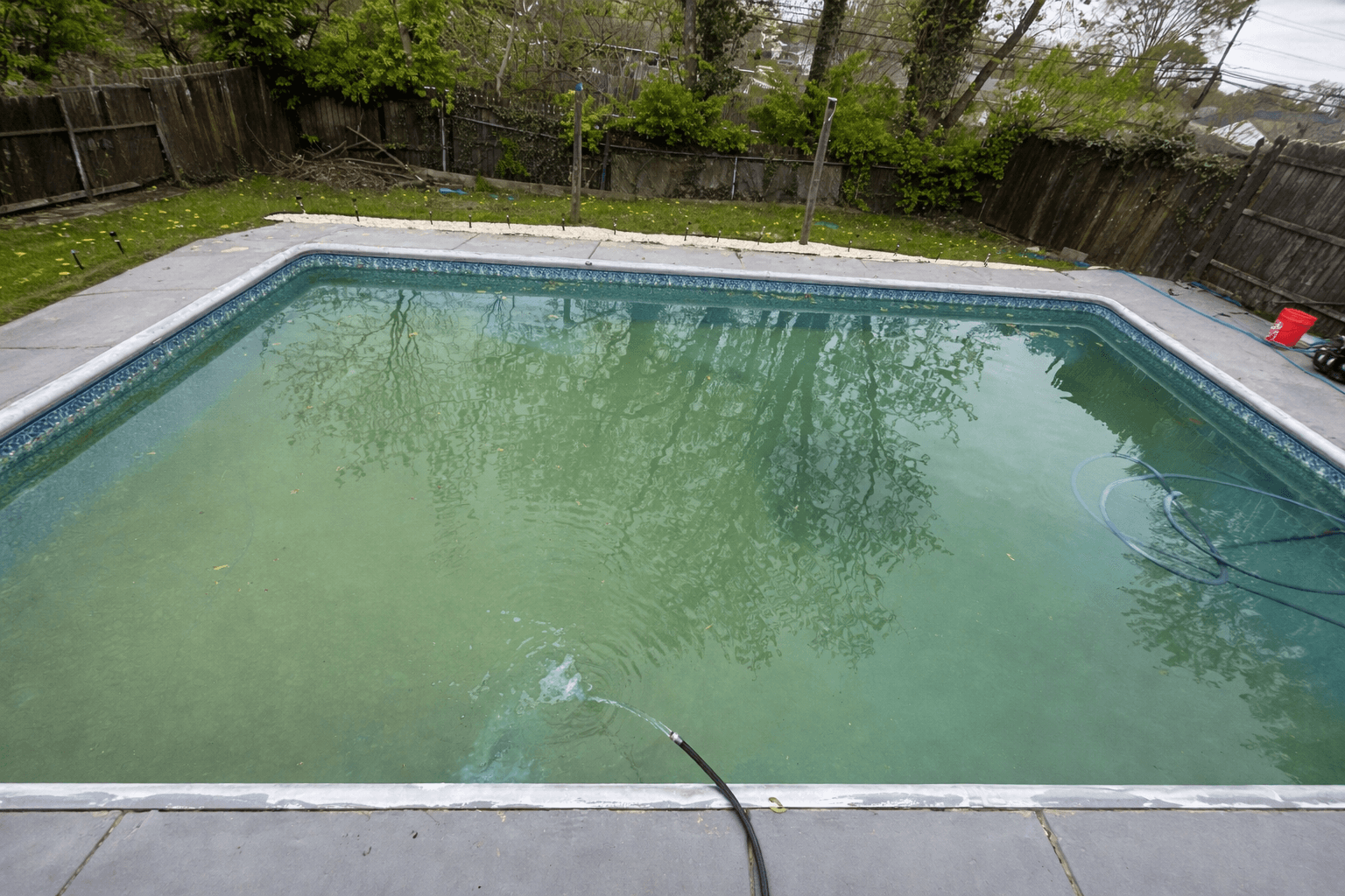 Swamp to Swim-Ready in 48 Hours (Equipment Dependent)